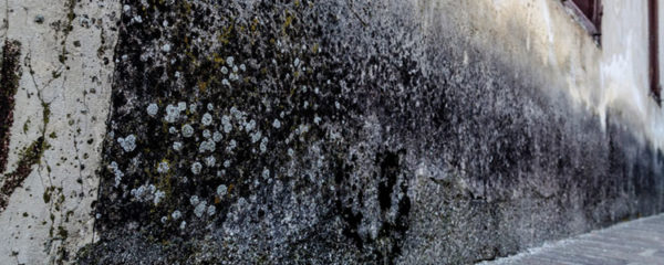 Assainir un mur humide