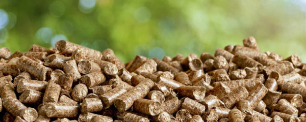 granulés de bois