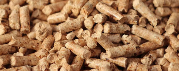 Granulés de bois