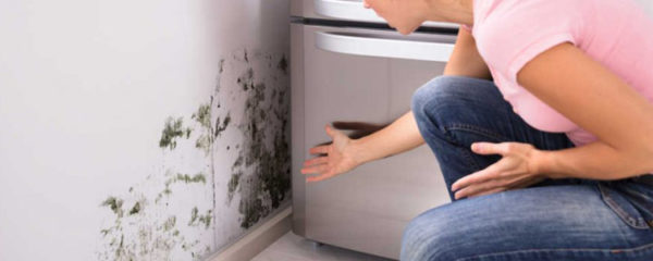 humidité