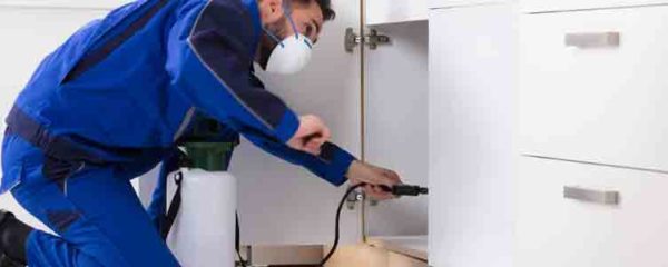 lutter contre les nuisibles